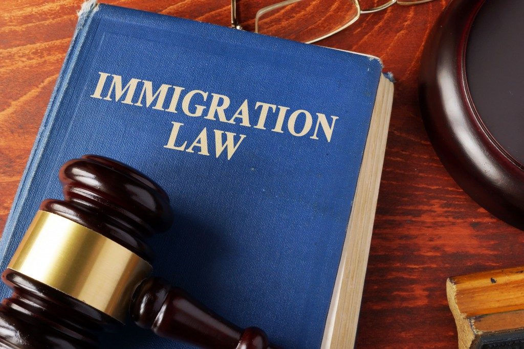 a book of immigration law